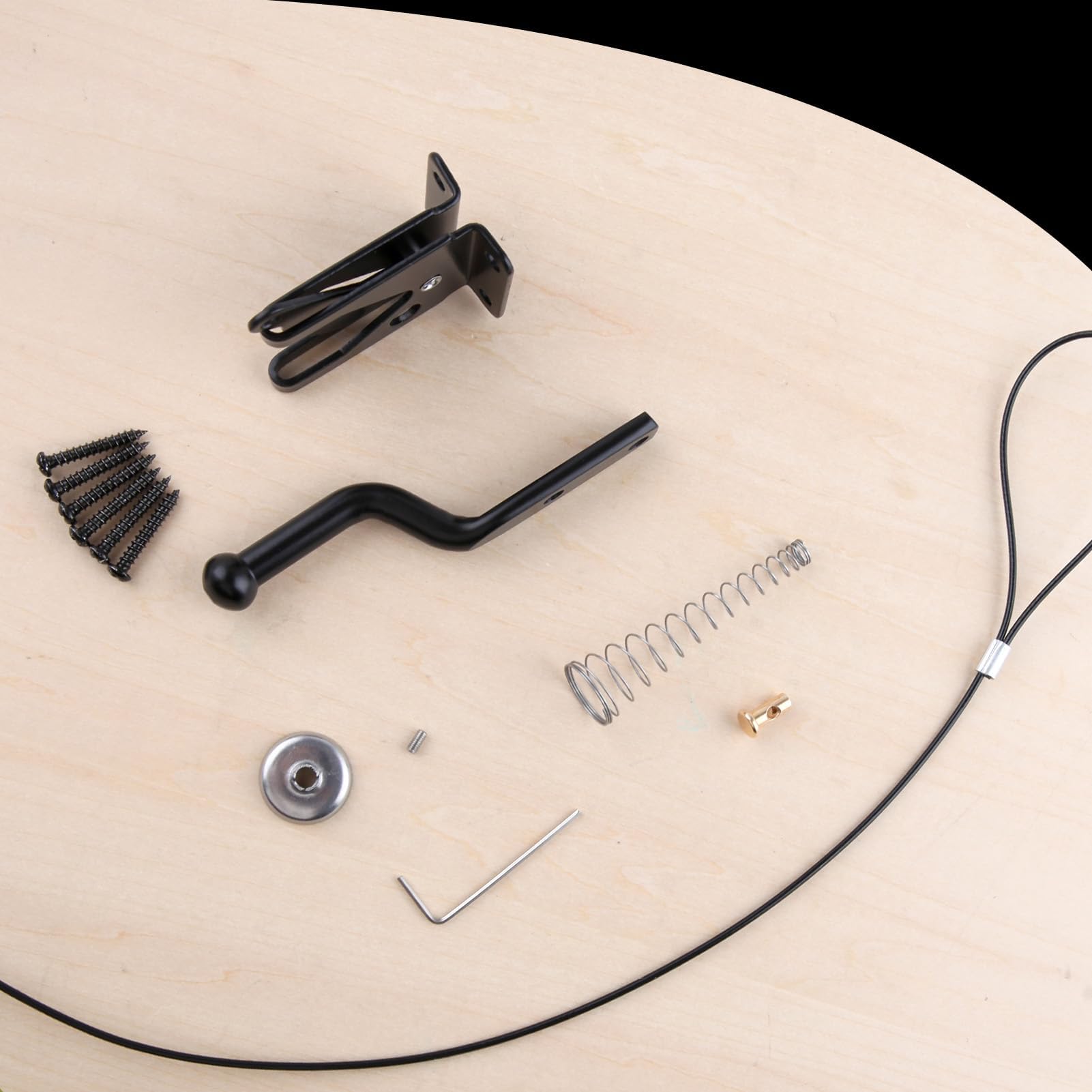 LEONTOOL Vis et Écrous loquet portail autobloquant noir avec câble