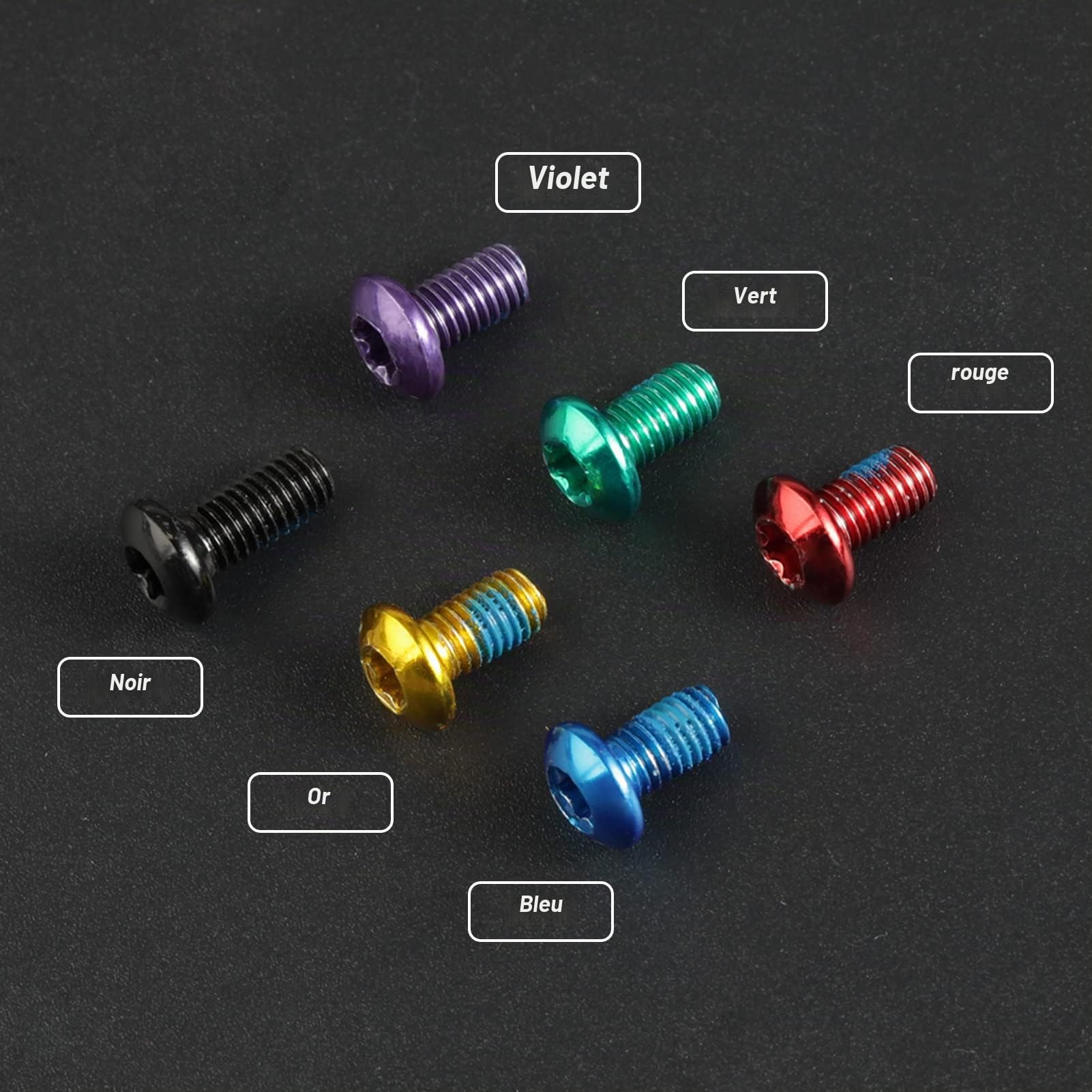 LEONTOOL Vis et Écrous boulon disque M5x10 lot 12 +T25