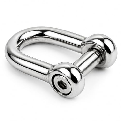 DAUMLINK Manilles manille ronde 8 mm inox A4 lot 2