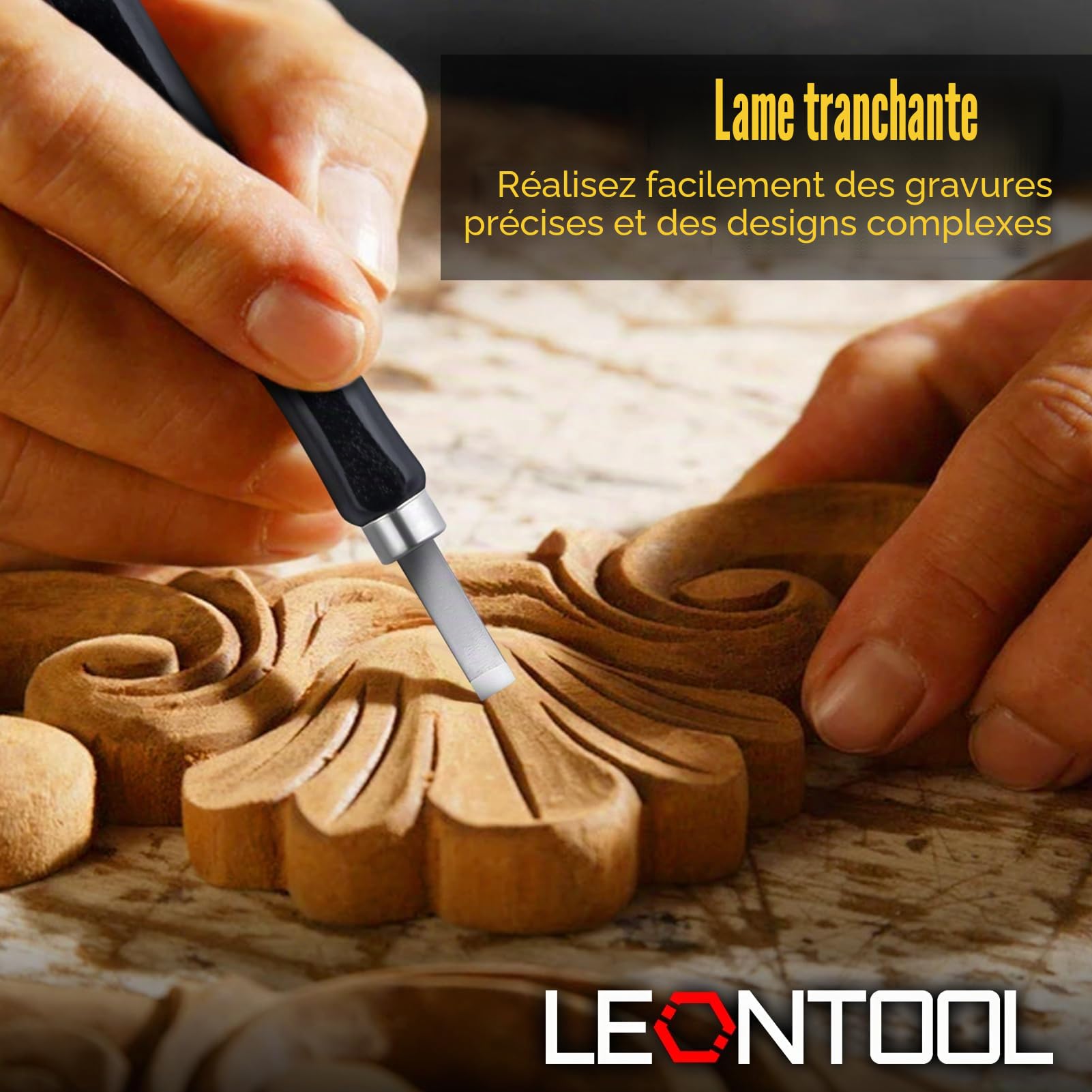 LEONTOOL Lames de Scie kit sculpture bois 12pcs acier SK2