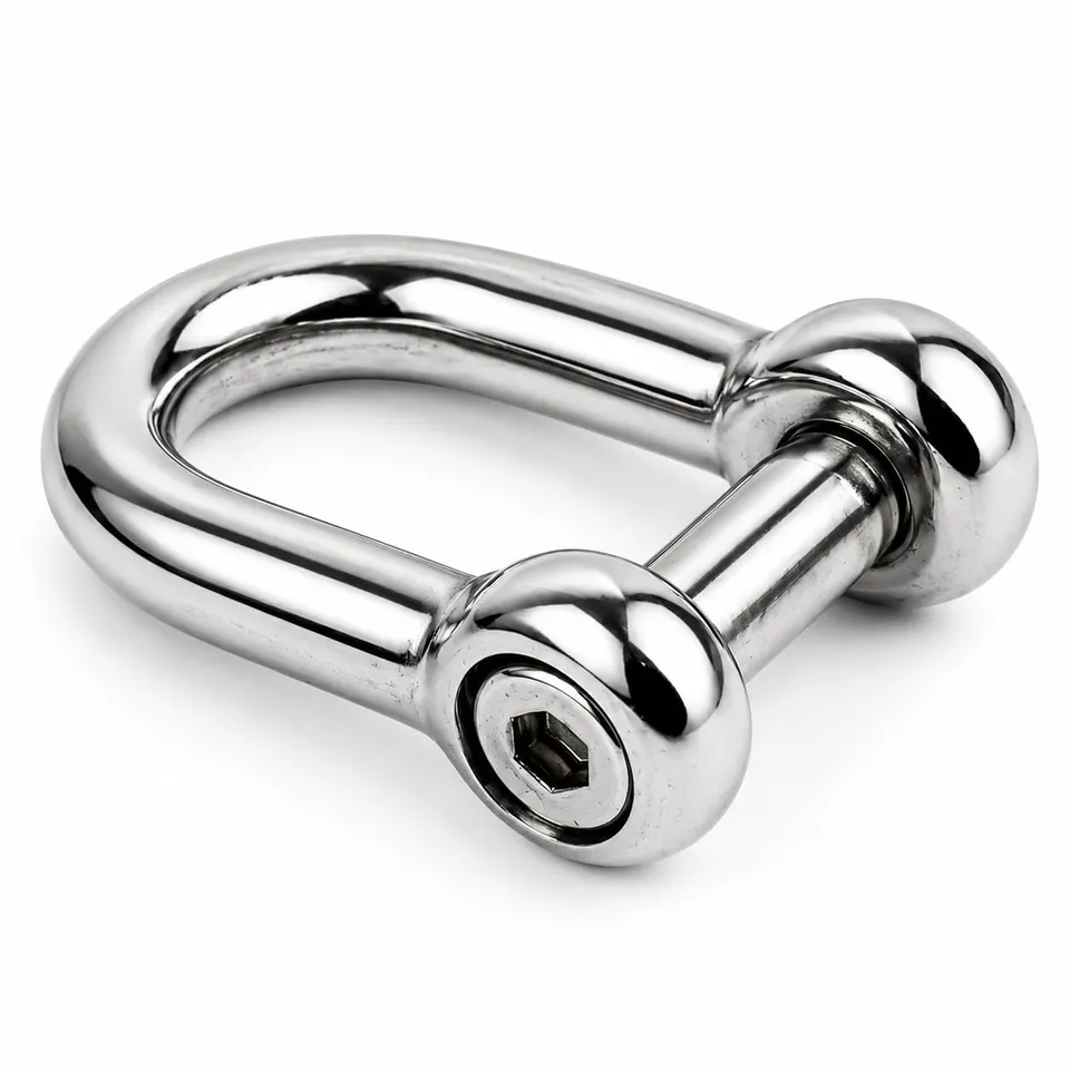 DAUMLINK Manilles manille ronde 8 mm inox A4 lot 2