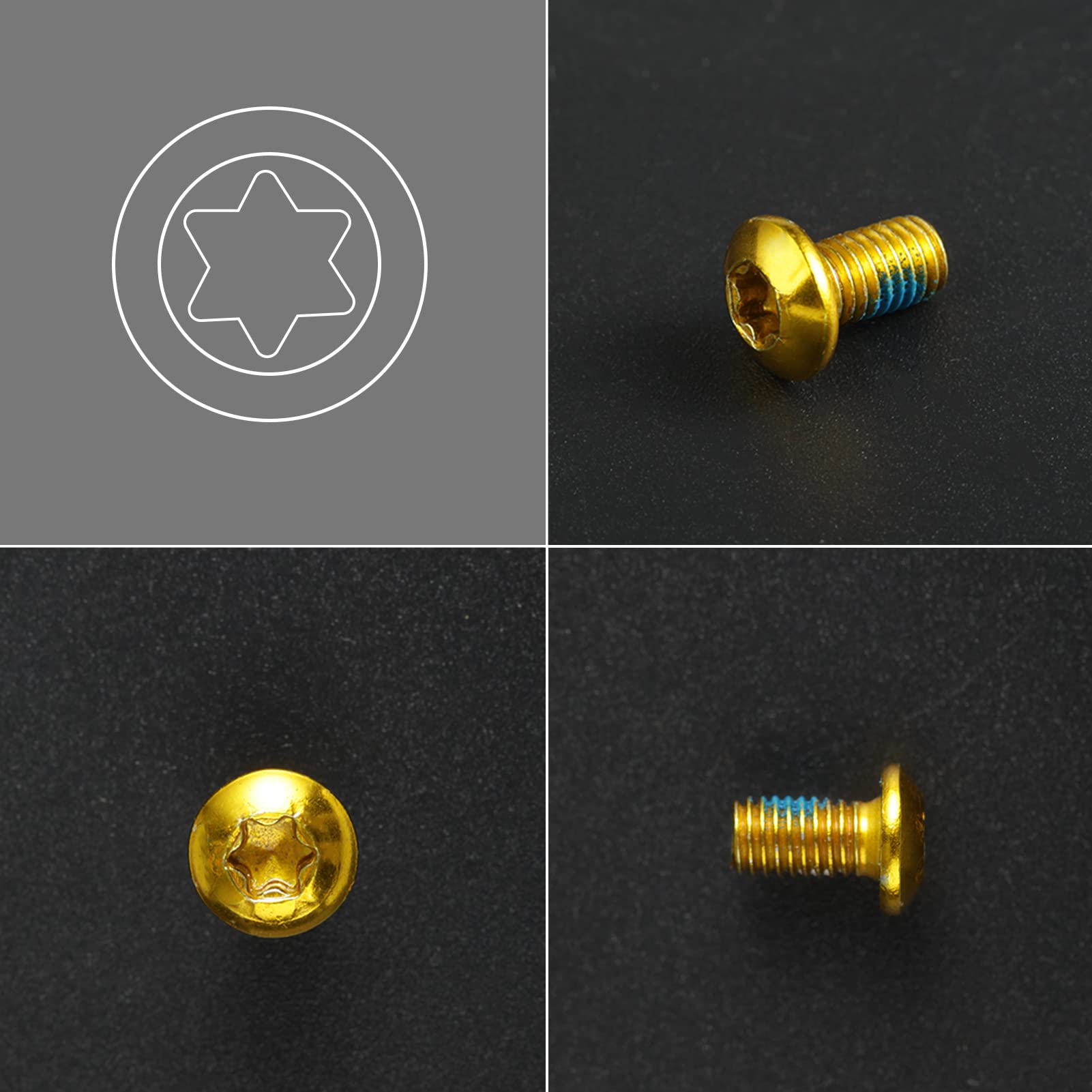 LEONTOOL Vis et Écrous boulon disque M5x10 lot 12 +T25