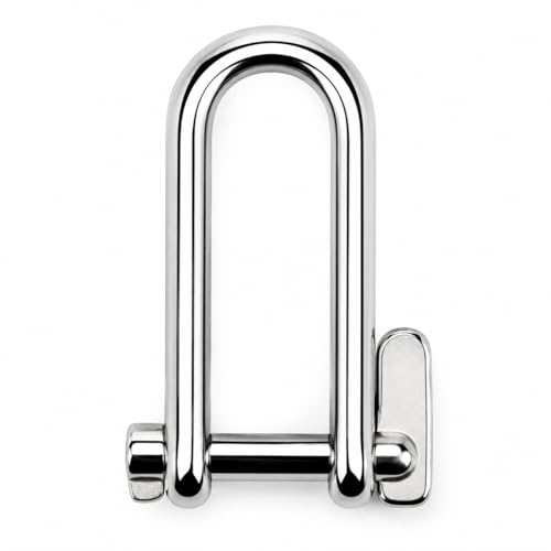 DAUMLINK Manilles manille à clé 6 mm inox A4 lot de 2